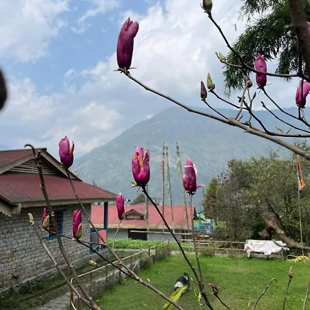 Daragaon Retreat Apartment Pelling Exterior photo