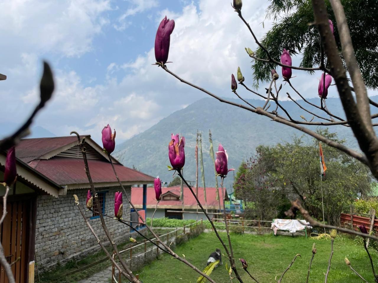 Daragaon Retreat Homestay
