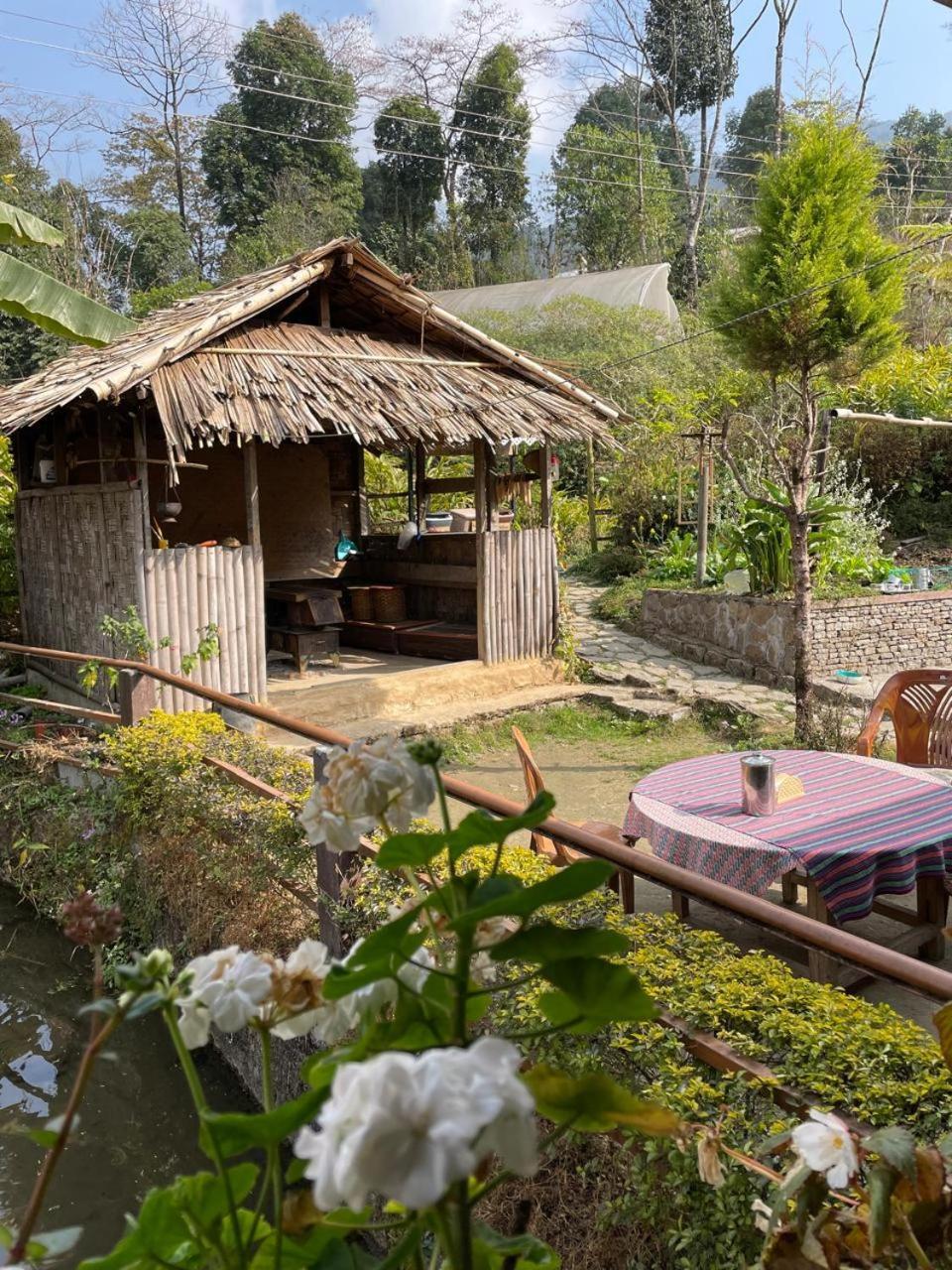 Daragaon Retreat Homestay